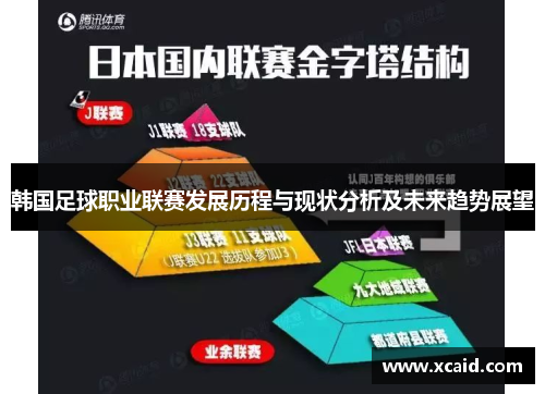 韩国足球职业联赛发展历程与现状分析及未来趋势展望