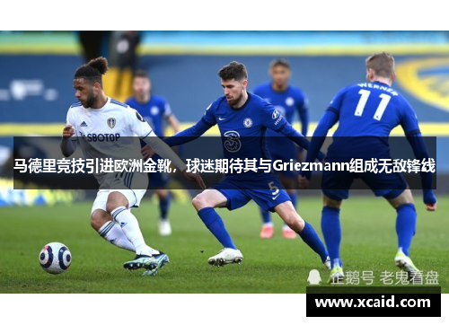 马德里竞技引进欧洲金靴，球迷期待其与Griezmann组成无敌锋线