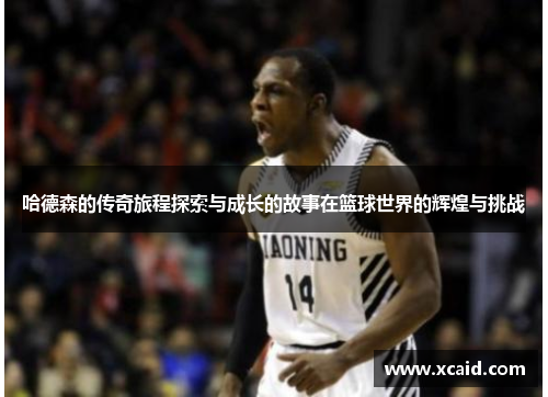 哈德森的传奇旅程探索与成长的故事在篮球世界的辉煌与挑战