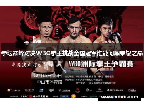 拳坛巅峰对决WBO拳王挑战全国冠军谁能问鼎荣耀之巅